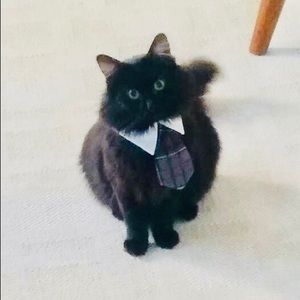 Meet your Posher, Jess